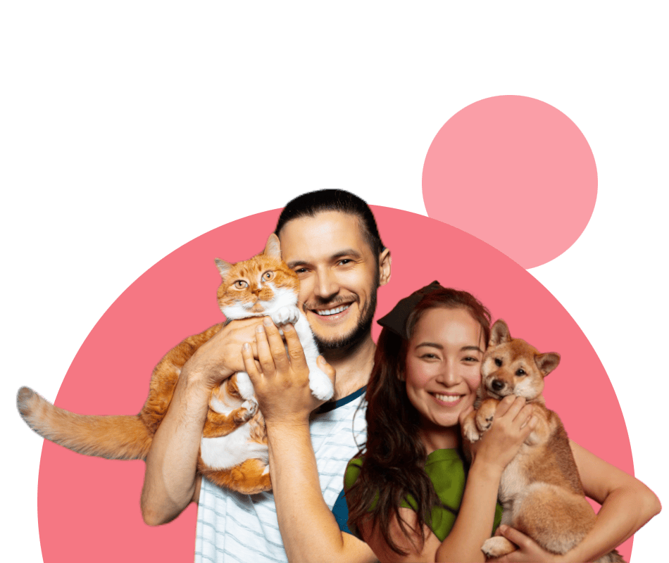 partenariat-assurance-chien-chat